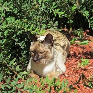 Meet your Posher, Jacqueline